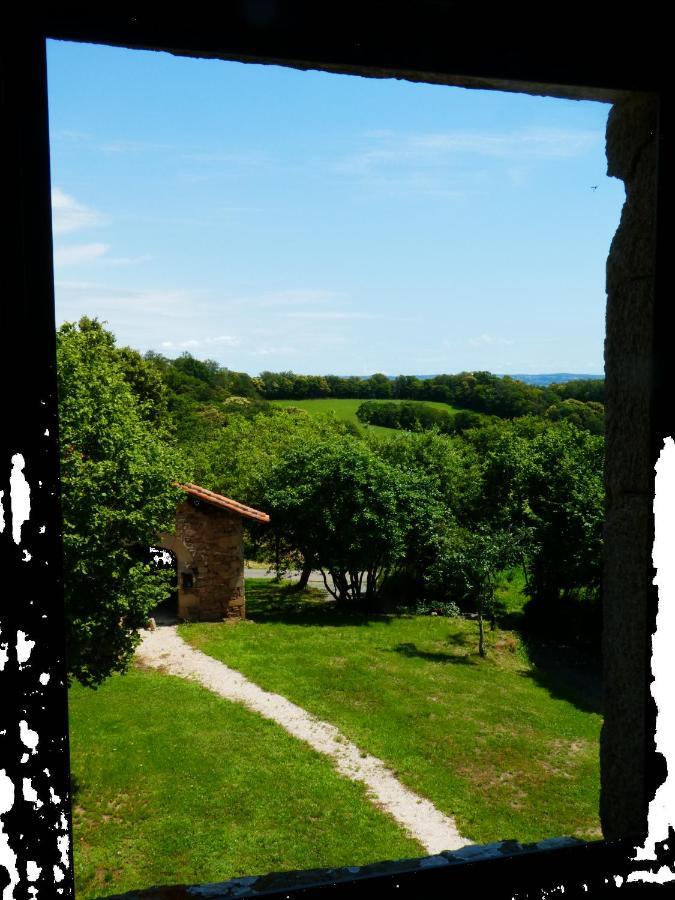 Grande maison de caractère en pierres -superbe vue Saint-Cirgues  Esterno foto
